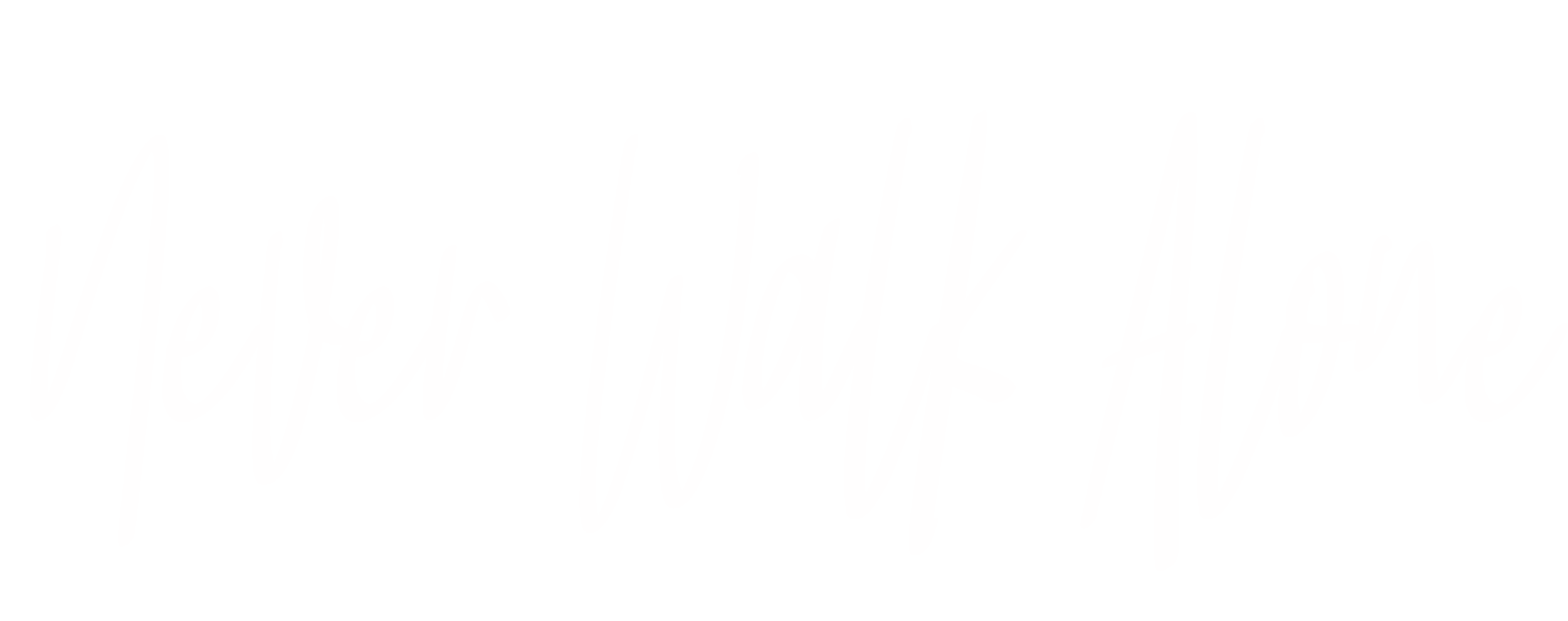 Never Walk Alone 